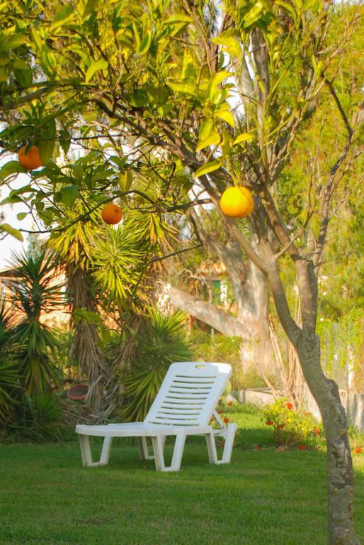 Lefkes Apartments アカラヴィ エクステリア 写真